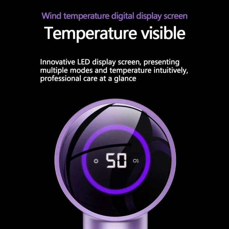 High Speed Smart Constant Temperature Negative Ion Hair Dryer_voghion.com