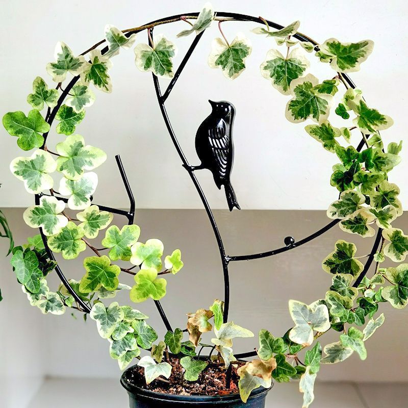 Scultura in ferro rampicante supporto anticaduta tartaruga di montagna vaso, balcone pianta verde bonsai cornice, neve splendente_voghion.com