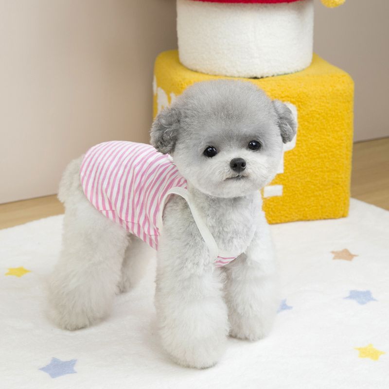 Abbigliamento per gatti, vestiti per cani, vestito per animali domestici, 25 strisce trasparenti, cinturino H_voghion.com