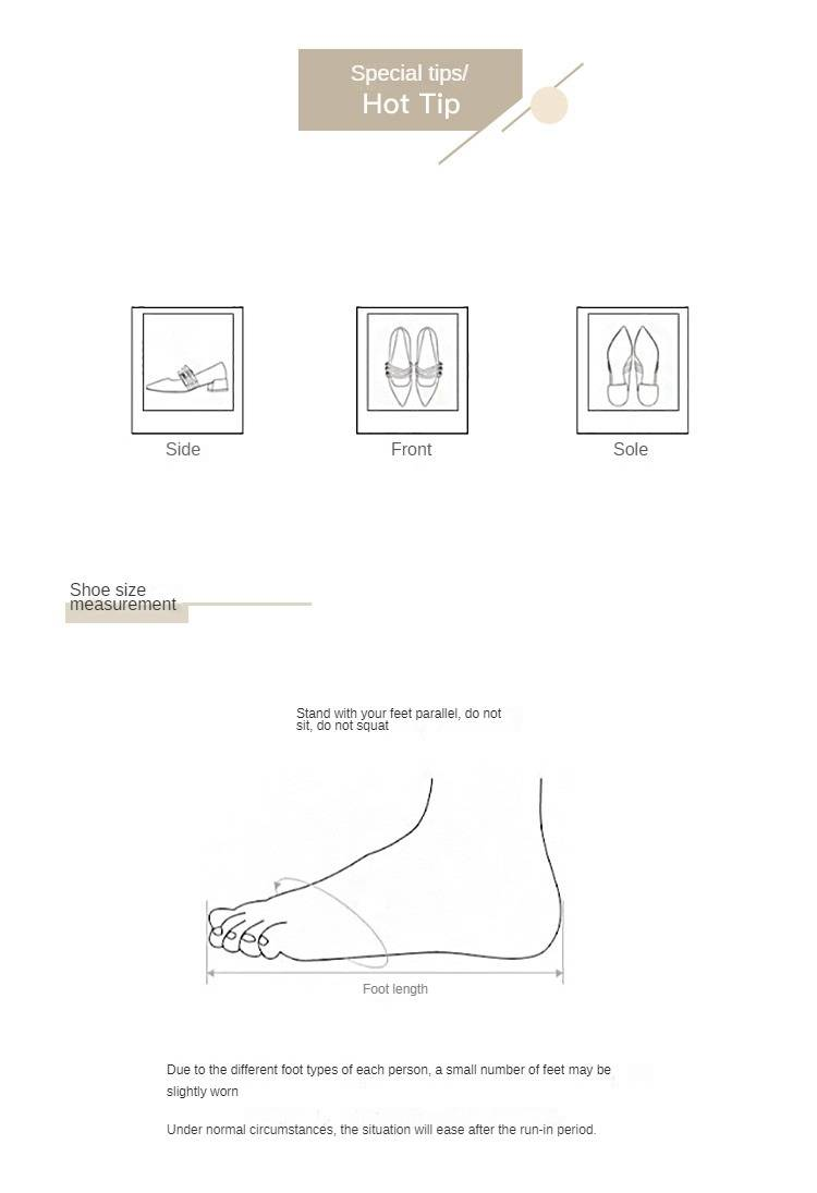 cameido 2025 Spring New Women's Single Shoes These European And American Style Shoes Feature A Sexy Pointed Toe, A Low - Cut Upper, And High Heels_voghion.com