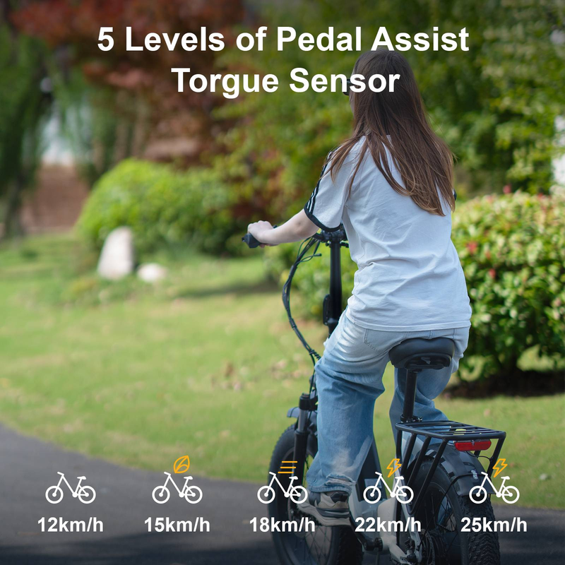 Vélo électrique tout-terrain TTGO F6 1000 W, pneus larges de 4 pouces | 48 V, 20 Ah, autonomie de 150 km, freins hydrauliques, capteur de couple, entrepôt européen, livraison sous 7 jours_voghion.com