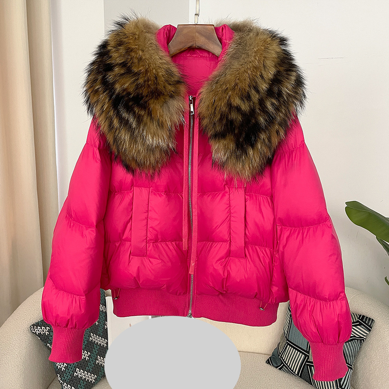 Dameskleding Oversized wasbeerbontkraag Winter Dames korte verdikte witte eendendonsjas platte jas jas_voghion.com