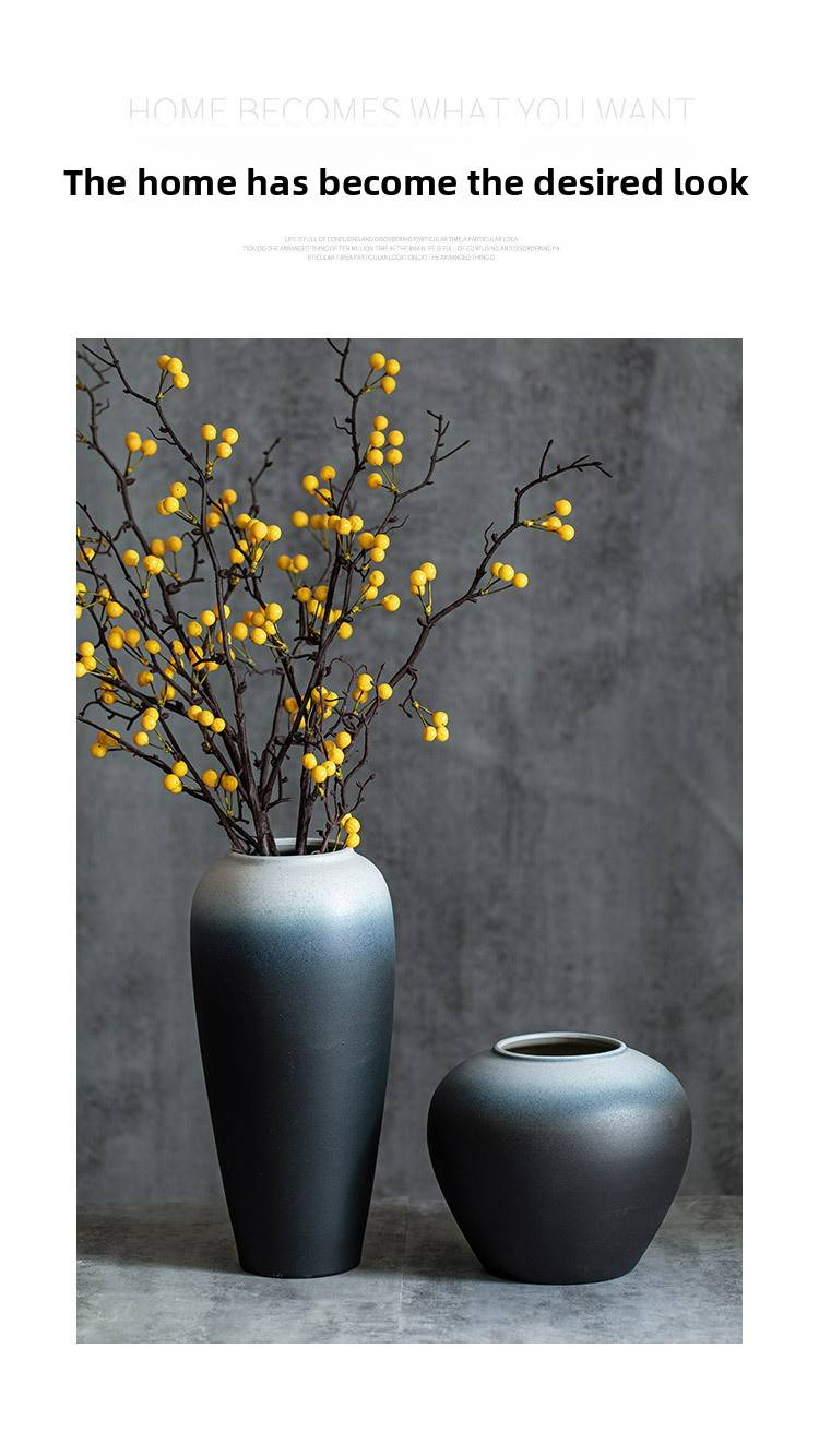 Vase élégant en céramique noir et blanc – Décoration hydroponique pour salon, bureau et chambre_voghion.com