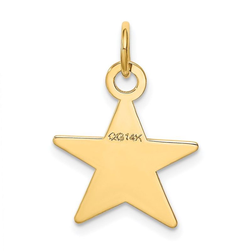 14K Star Disc Charm_voghion.com