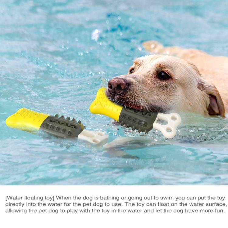 Hundmolarer Tänder Stick Tuggande Hundtandborste_voghion.com