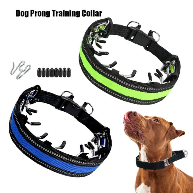 Pet Training Stimulating Chain Collar Anti-Burst Punch Dog Corral_voghion.com