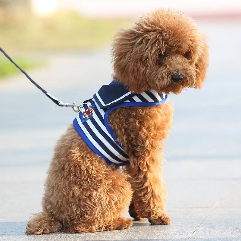 Pet Harness Teddy Poodle Pomeranian Vest-Style Walking Leash Puppy Small Dog_voghion.com