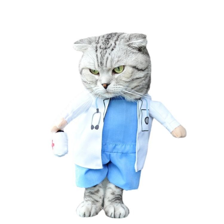 Forniture per Halloween, costume da dottore per gatti divertenti in 3D, vestiti per cani, costume carino per animali domestici_voghion.com