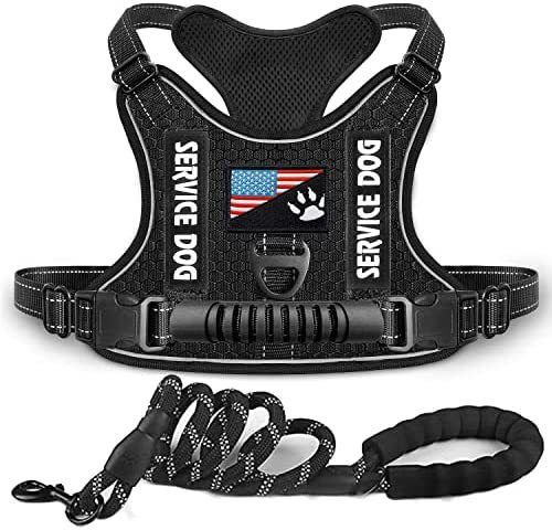 New Explosion-Proof Shock Absorption Night Vision Reflective Pet Chest Harness Vest-Style Leash_voghion.com