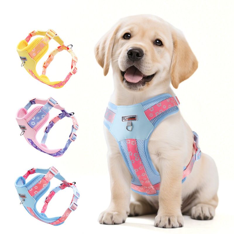Dopamine Dog Harness For Small And Medium Dogs Outdoor Gradient Print Pet Leash Comfortable Breathable Summer_voghion.com