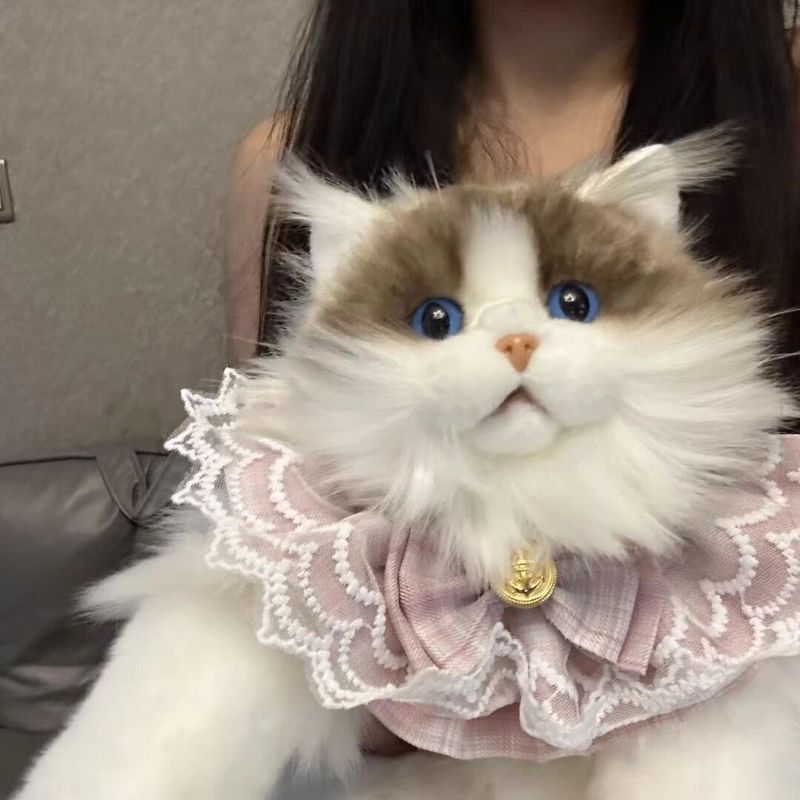 Simulation Katze Rucksack Kätzchen Plüsch Puppe Spielzeug Geburtstagsgeschenk Mädchen_voghion.com