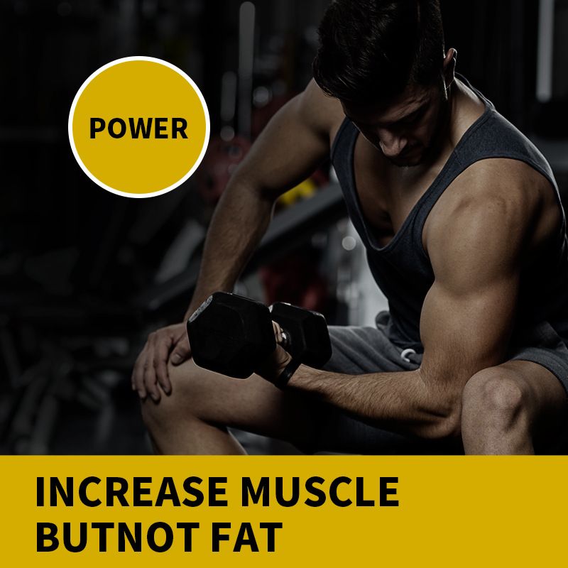 Fornitore di commercio estero per l'esportazione di proteine del siero di latte in polvere al gusto di cioccolato, 3 libbre_voghion.com