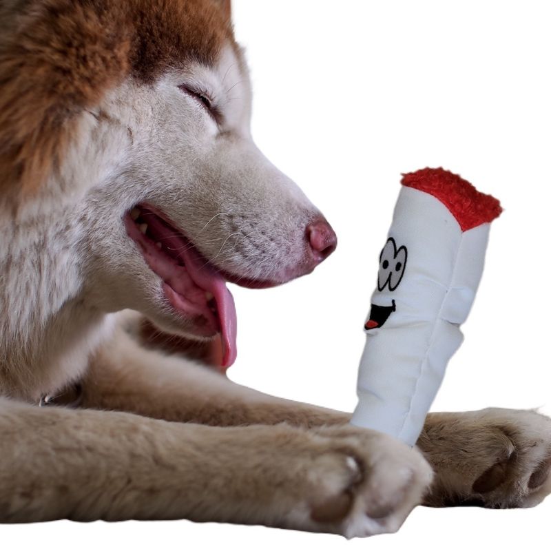 Jay the Joint 420 Dog ToyJay the Joint 420 Dog Toy_voghion.com