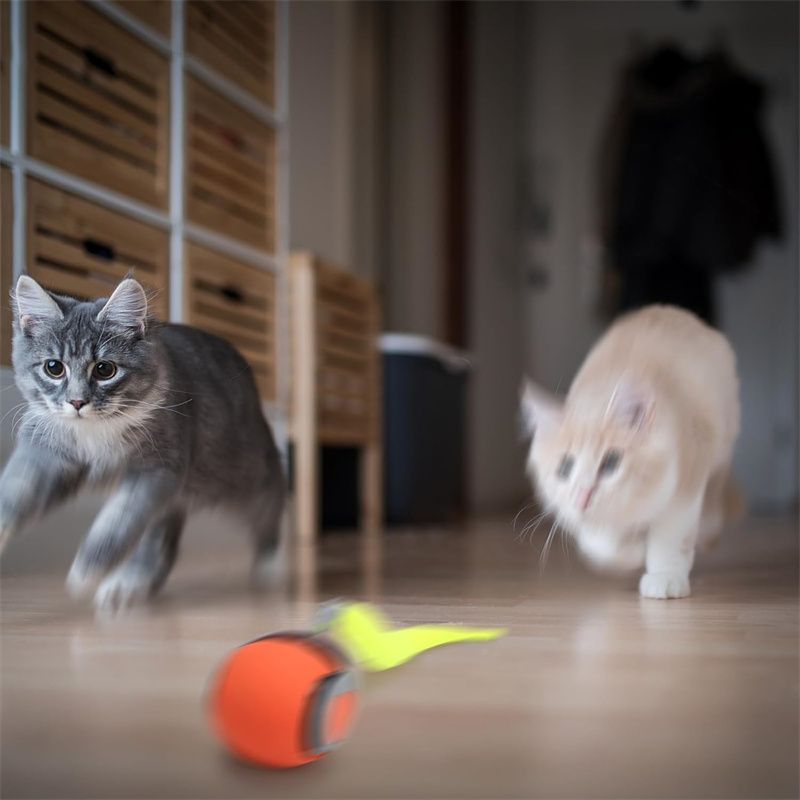Giocattoli intelligenti per gatti, palline automatiche interattive, elettriche, rotanti, ricaricabili tramite USB, palline rimbalzanti in movimento, prodotti per gatti_voghion.com