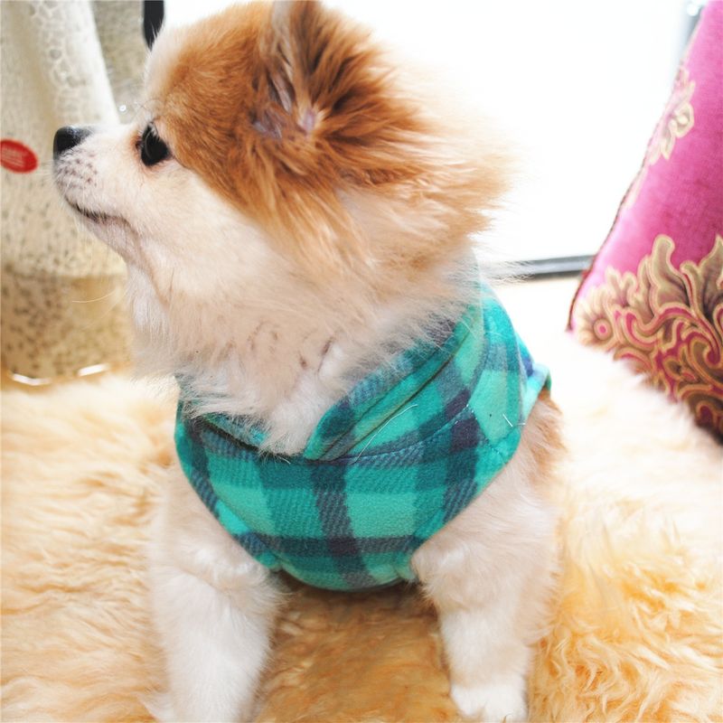 Abbigliamento per animali domestici diretto dalla fabbrica, per cani, autunno e inverno, in pile polare, fibbia di trazione, 27 colori brevettati, saranno oggetto di indagine_voghion.com