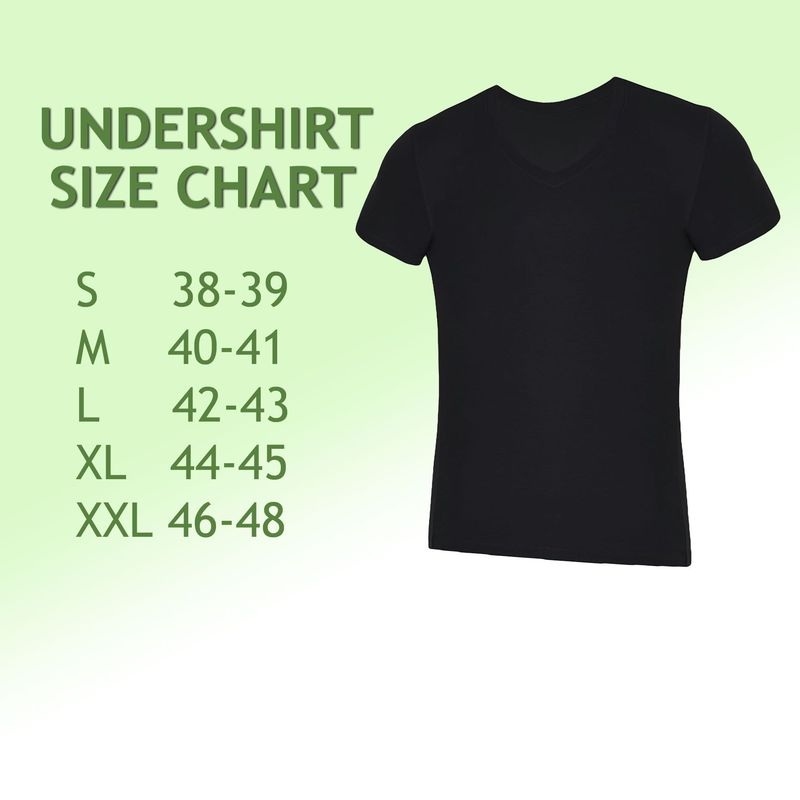 V Neck T Shirts For Men Rayon Made From Bamboo Tees Moisture Wicking Undershirts 1 Pack_voghion.com