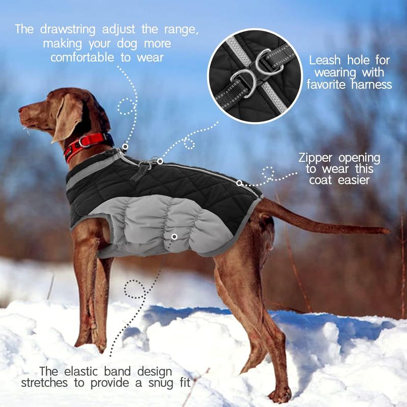 pet clothes dog cotton coat winter windproof warm dog cotton coat plus velvet thick down cotton coat_voghion.com