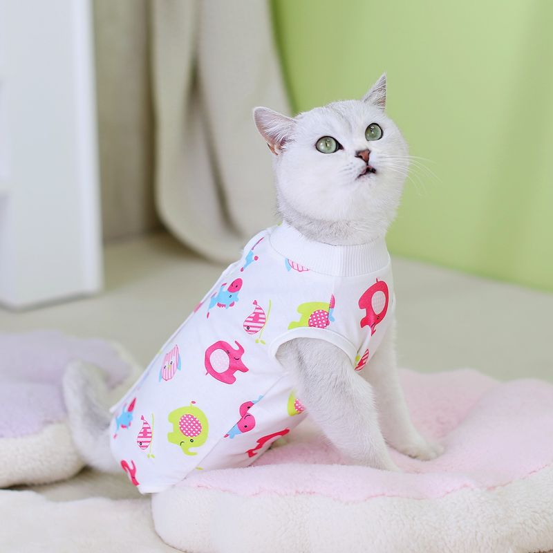 Vêtements de stérilisation, combinaison chirurgicale, sevrage féminin, bandage anti-léchage, fournitures post-opératoires pour animaux de compagnie, 2024_voghion.com