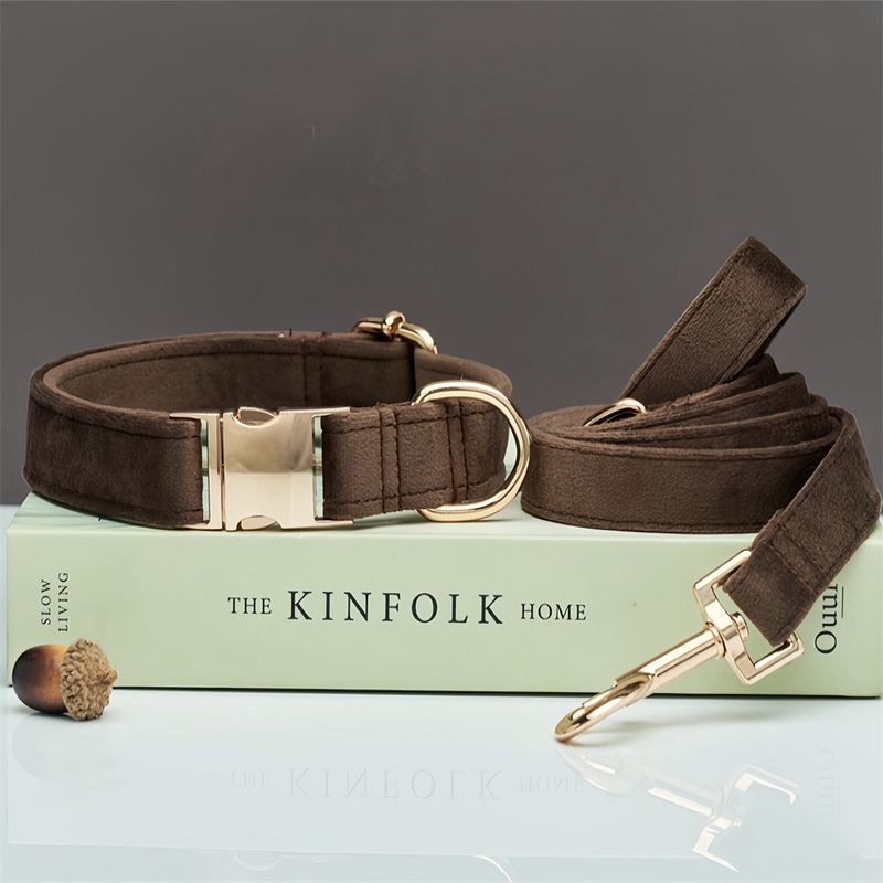 Collare per cani Velvet Pet inciso al laser_voghion.com