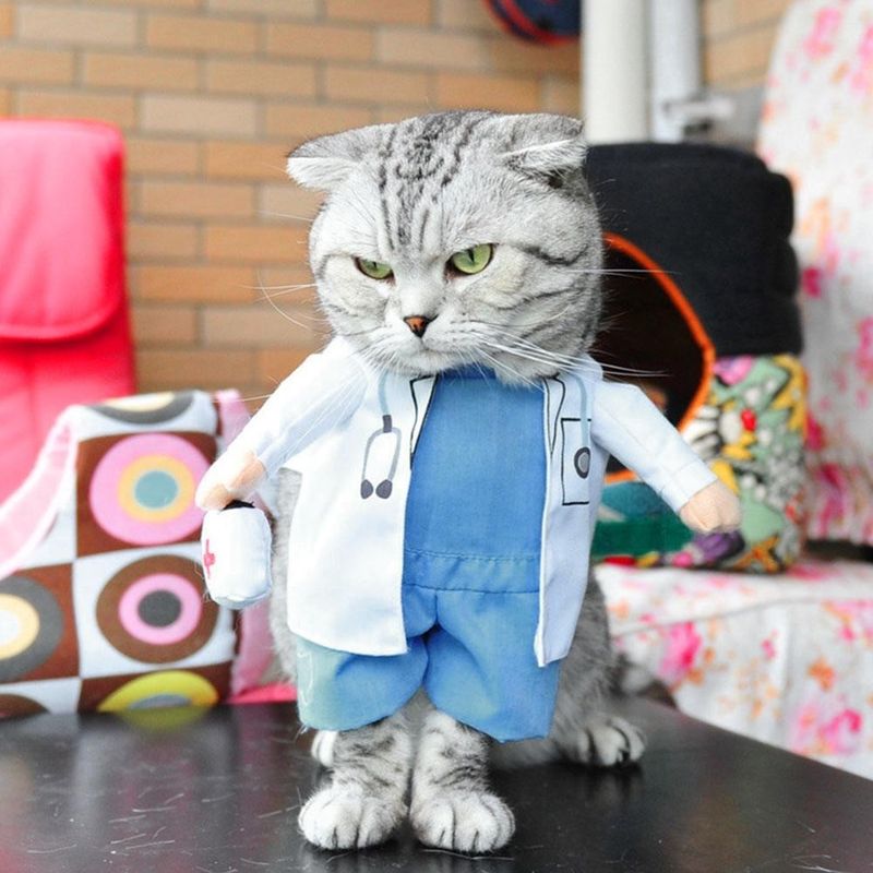 Costume da dottore divertente di Halloween in piedi, per trasformare un animale domestico, per cane o gatto, eccentrico e verticale_voghion.com
