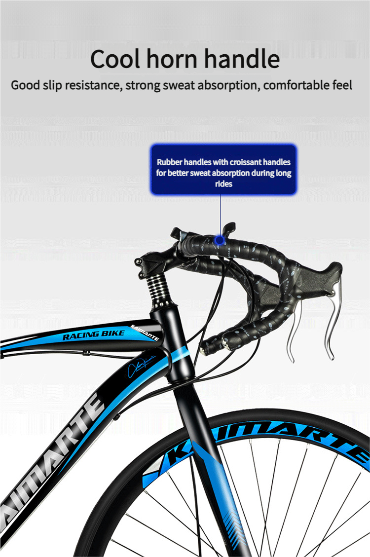 700C Road Bike With Drop Handlebars, Variable Speed, Dual Disc Brakes, Urban Racing, Unisex Student Commuter Bicycle_voghion.com