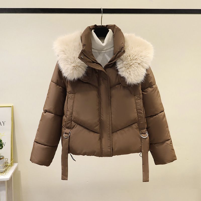 Damenbekleidung Winter neuer Stil modischer loser dicker Baumwollmantel stilvoller Daunenbaumwollmantel mit großem Pelzkragen kleiner schlanker Baumwollmantel für Damen_voghion.com