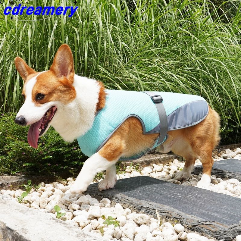 Summer Cooling Dog Vest, Breathable Mesh Jacket, Universal Outdoor Pet Cool Down Jacket For Dogs, Adjustable Cold Coat For Dogs_voghion.com