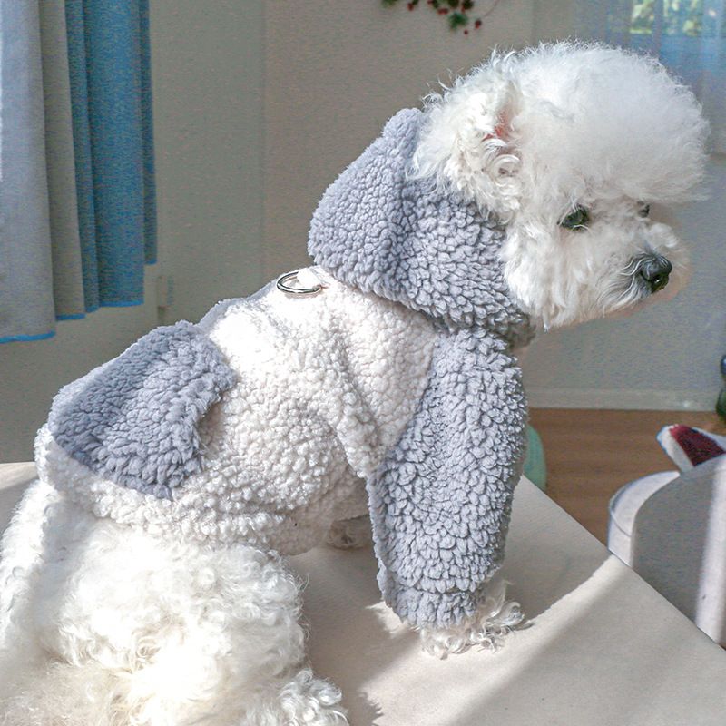 Pet Clothes Autumn and Winter New Warm Fleece Korean Style Sweater Warm Color Cold-resistant Lamb Fleece Traction Sweater_voghion.com