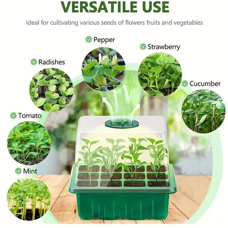 12-well Plastic Seedling Pot Succulent Sowing Seedling Box Insulated Seedling Tray_voghion.com