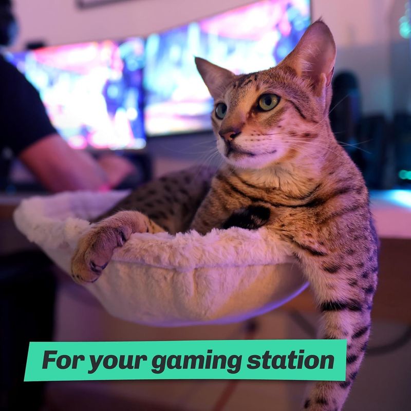 Schreibtisch verstellbar ergonomisches Kätzchen Bett Nest Desktop Katze Hängematte_voghion.com