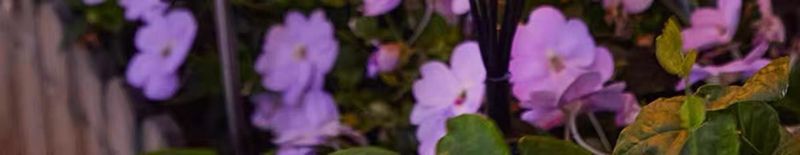 Solar Butterfly Firefly String Ground Plug Lawn LED Outdoor Waterproof Garden Decoration Landscape Lights_voghion.com