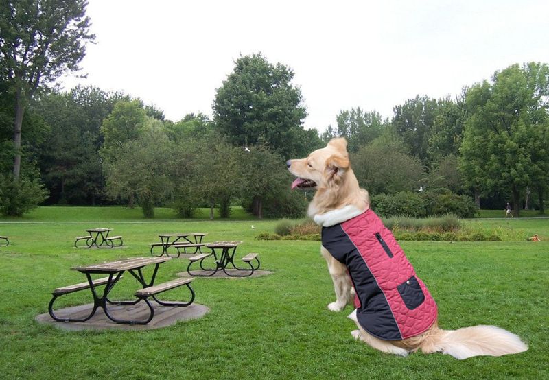 Pocket new pet clothes autumn and winter dog clothes vest cotton coat double sided wearable dog clothes coat clothing_voghion.com