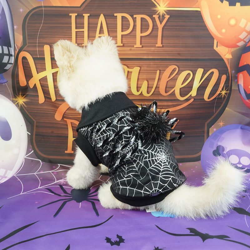 Costume da trasformazione per cani e gatti di Halloween, stile felpa nera a due zampe, ragnatela_voghion.com