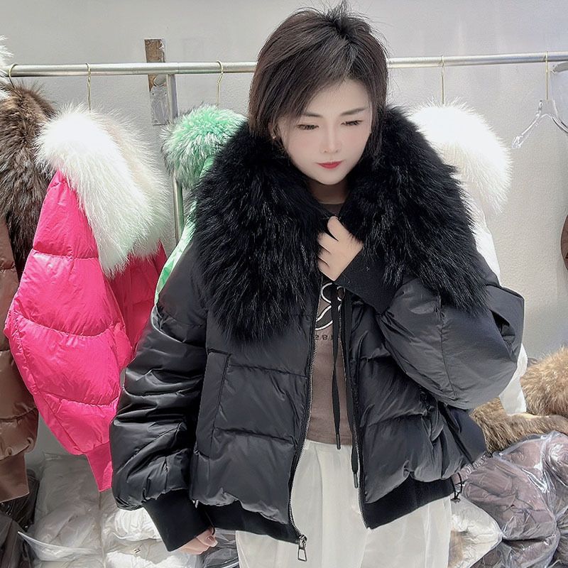 Pufferjacke mit abnehmbarem Waschbärpelzbesatz – Kurzer Steppmantel mit Kapuze (86–90 % weiße Entendaunen, Übergröße, Reißverschluss vorne, 8 Farben)_voghion.com