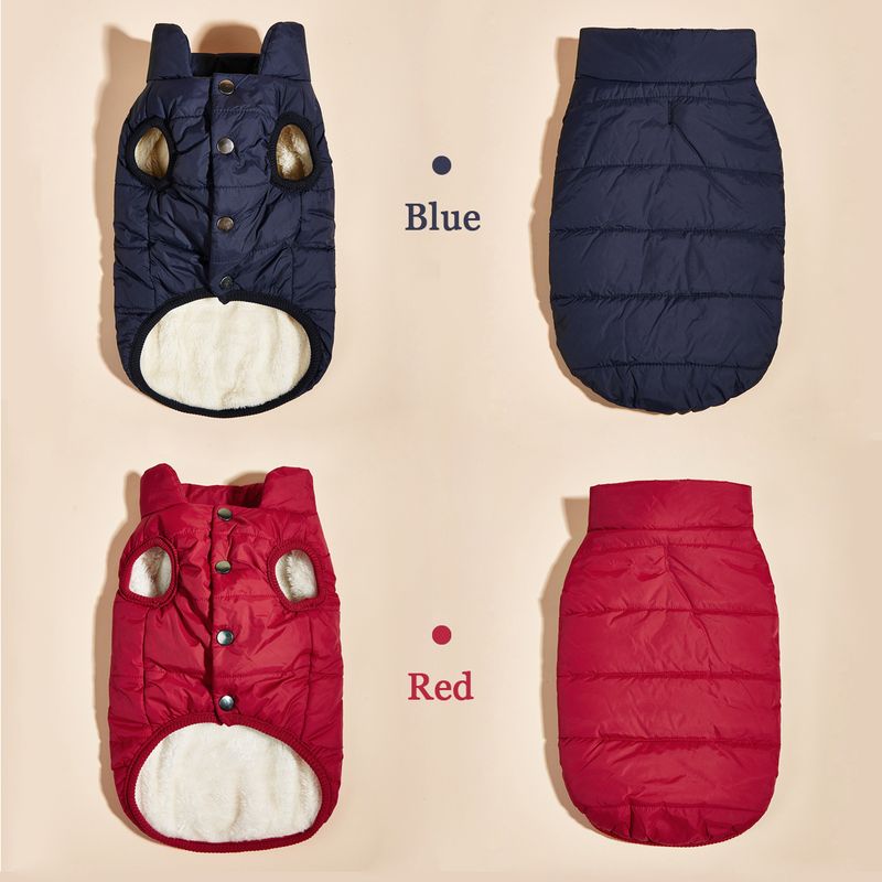 Winter Women's Warm Jacket With French Bulldog Lining Small And Medium Dogs, Soft Windproof Fabric Outfits For Labrador By PawParty Store_voghion.com