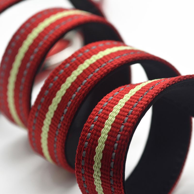 Pet Luminous Multi-Functional Leash Outdoor Sports Anti-Lost Small Dog_voghion.com