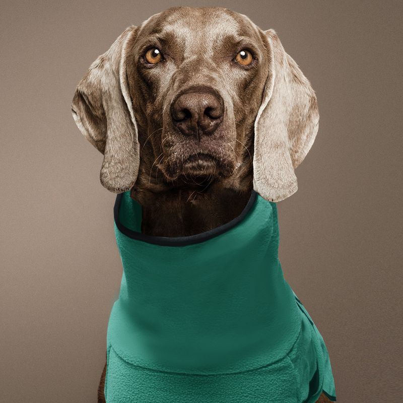 Pullover Pet Fleece Golden Retriever Thickened Warm Hooded Solid Color Dog Clothes_voghion.com