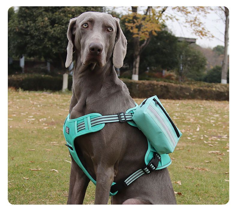 Dog For Medium And Large Dogs Training Bag Outdoor Portable Magic Tape Tactical Small Backpack_voghion.com