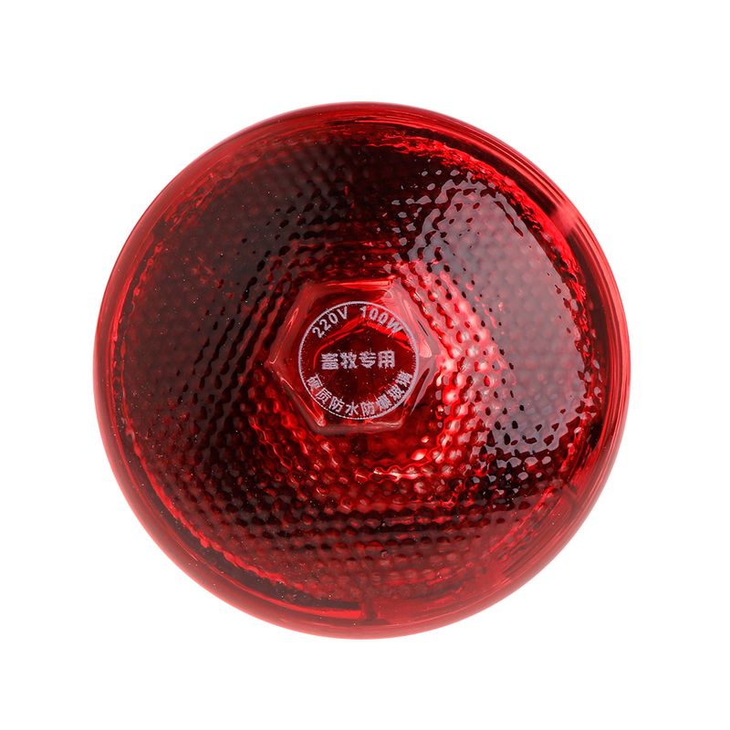 Boerderijlamp Thermische conservering Varken Kip Warmtelamp Infraroodstraal LED Luik Hond Kat_voghion.com