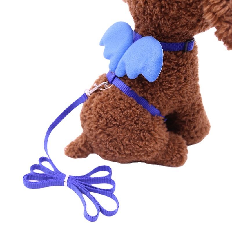 Forniture per animali domestici, guinzaglio a forma di angelo, imbracatura per petto, catena per cani_voghion.com