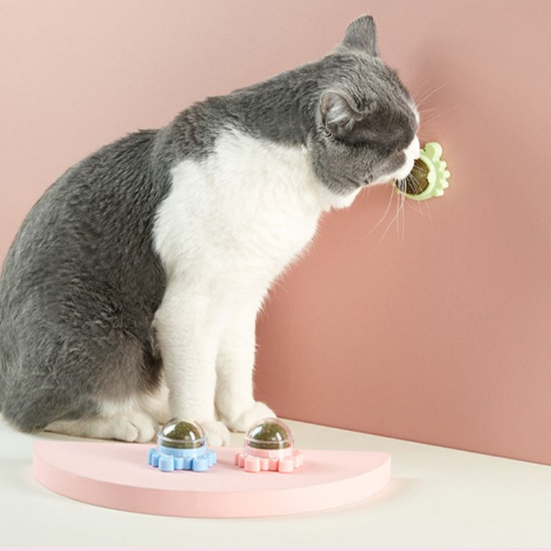 3 Pcs/Set For Cat Catnip Toys With Lid Interactive Toy Teeth Cleaning Mint Ball_voghion.com
