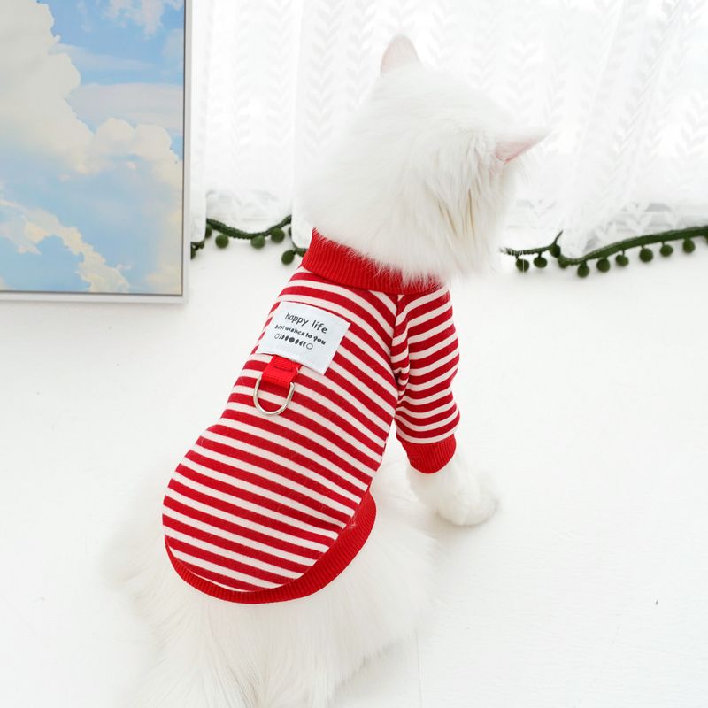 Abbigliamento per cani, caldo, autunno e inverno, con cappuccio, Teddy Bichon, cani di piccola taglia e media taglia, accessori per gatti_voghion.com