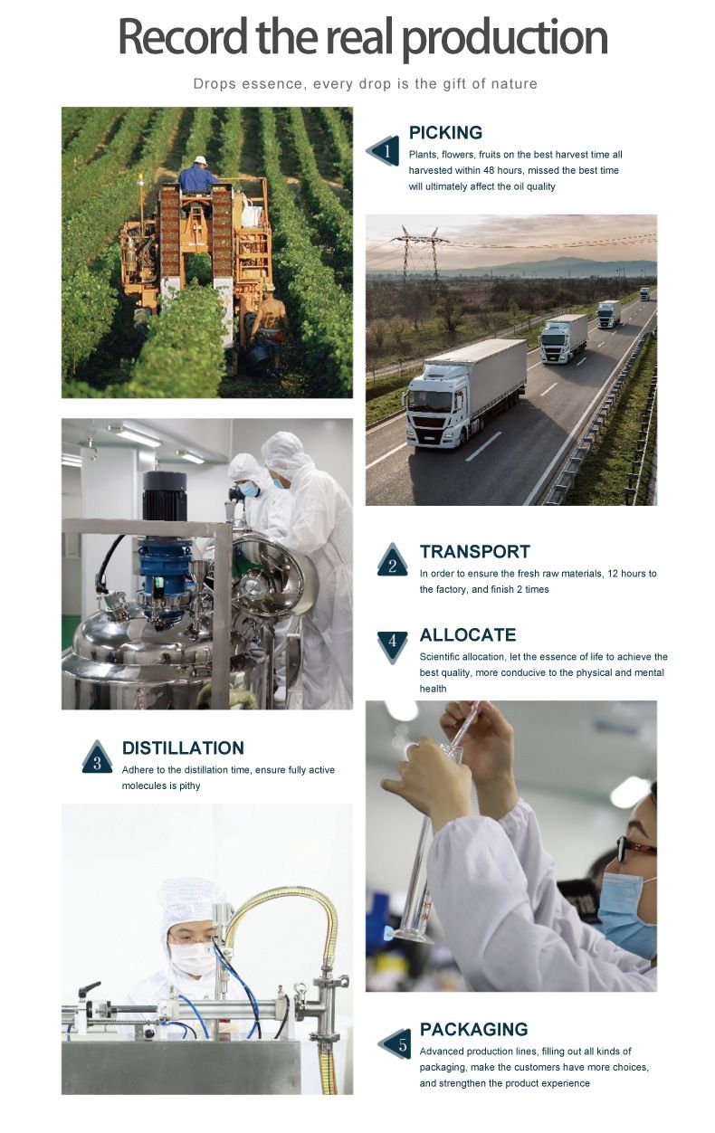 Nährt, macht weich, dauerwellt, färbt, repariert trockenes Haar. Ätherisches Haarpflegeöl beugt Haarausfall vor und fördert das Haarwachstum_voghion.com