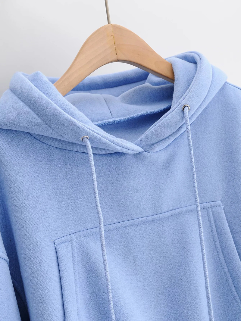 Ropa de mujer Otoño e invierno nuevo estilo suelto más sudadera con capucha de terciopelo + pantalones harén casuales con puños traje deportivo para mujer_voghion.com