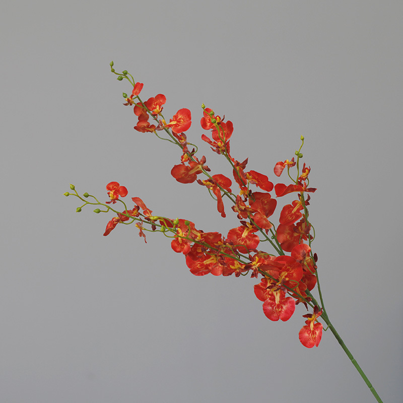 Phalaenopsis soggiorno da terra arte floreale oncidium composizione floreale decorazione domestica_voghion.com