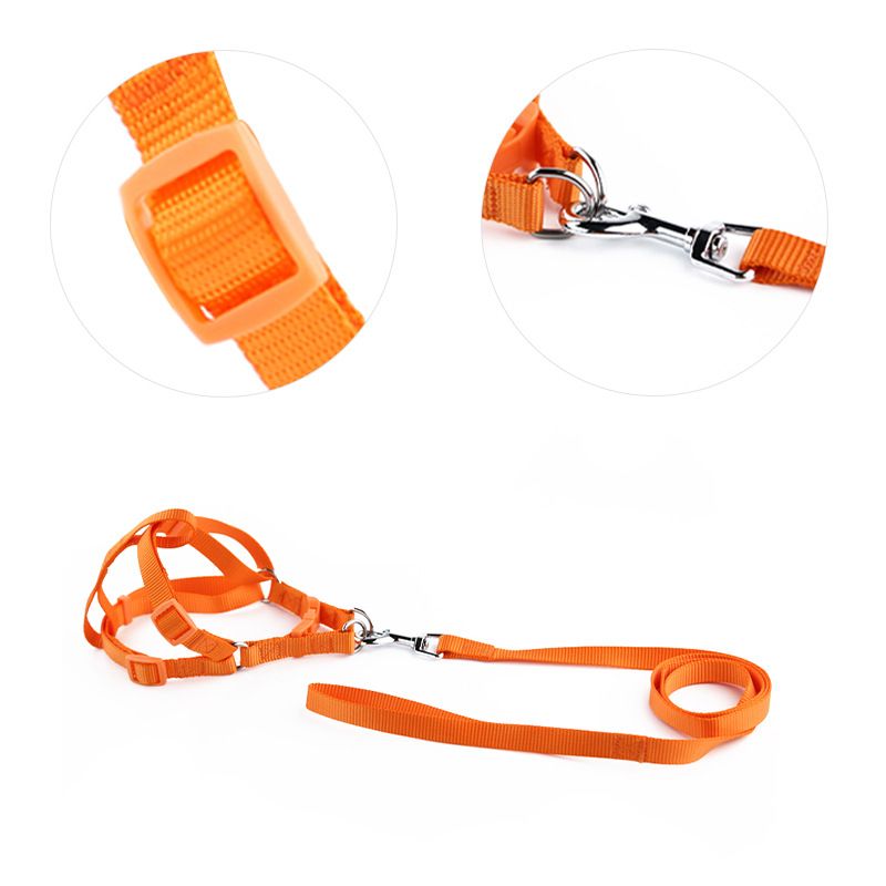 Pet 12 Colors Available Solid Color Strap Plain Dog Supplies Chest Harness_voghion.com