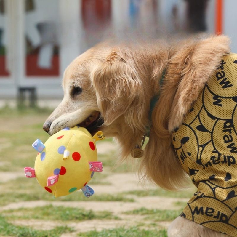 Zabawka dla psa z dzwonkiem i dźwiękiem, piłka, interaktywna, dla szczeniaka, Golden Retriever Corgi, łagodząca nudę_voghion.com
