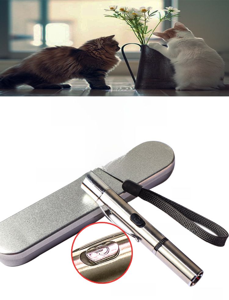 Neue Ankunft Heimtierbedarf Großhandel Katzenspielzeug Edelstahl Multi-Muster Projektionslampe Katze lustige Katze Stick auf Lager_voghion.com
