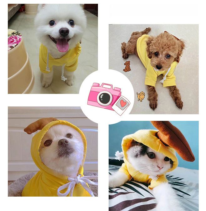 Trasformazione della frutta cane gatto cane di piccola e media taglia autunno e inverno gilet pile abbigliamento forniture pet Teddy metodo secchio produttori_voghion.com