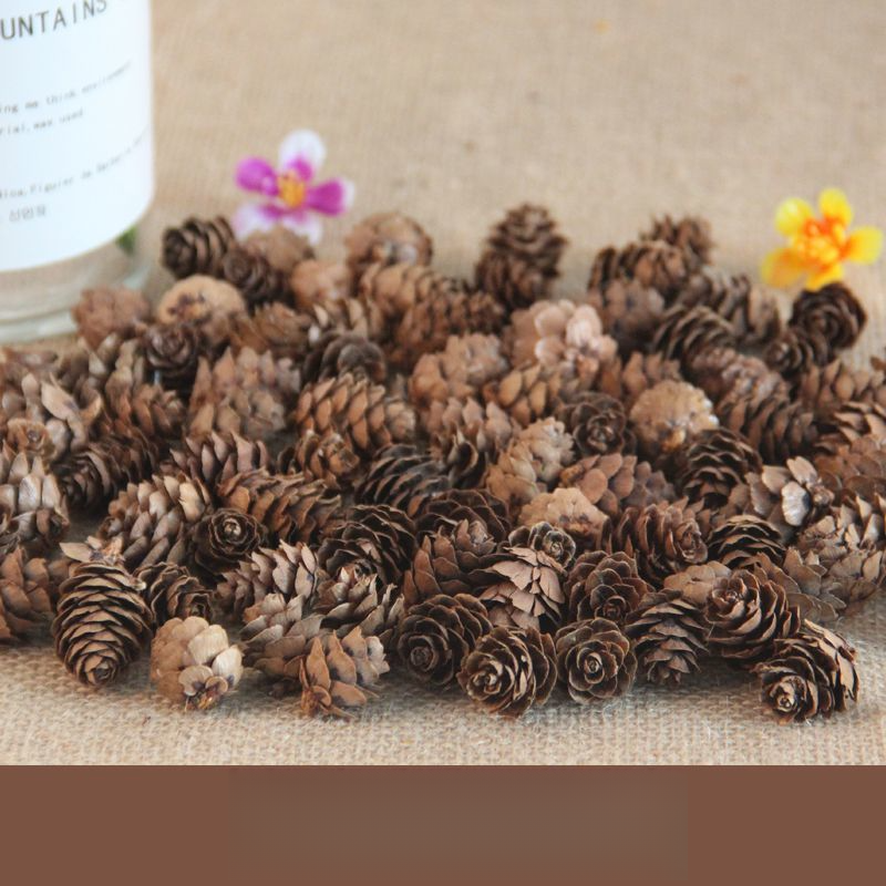 Decoration Pine Cone Acorn Flower Handmade DIY Forest Kindergarten Environmental Creation Dried Branches Wild Creative_voghion.com